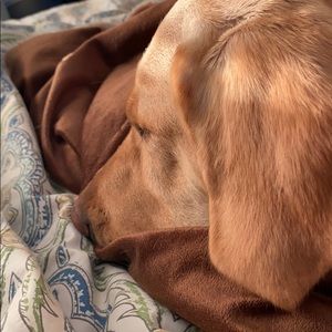 Meet your Posher, Niki